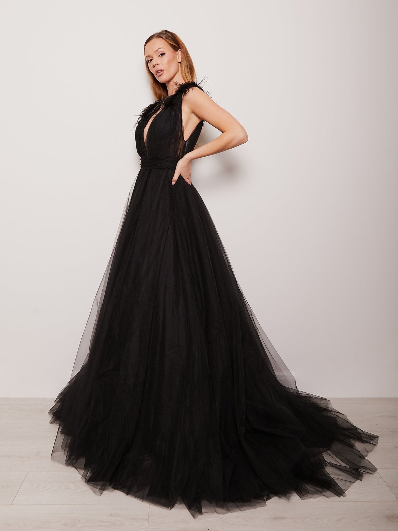 Isabelle - Black Feather Trim Shoulder Tulle Ballgown