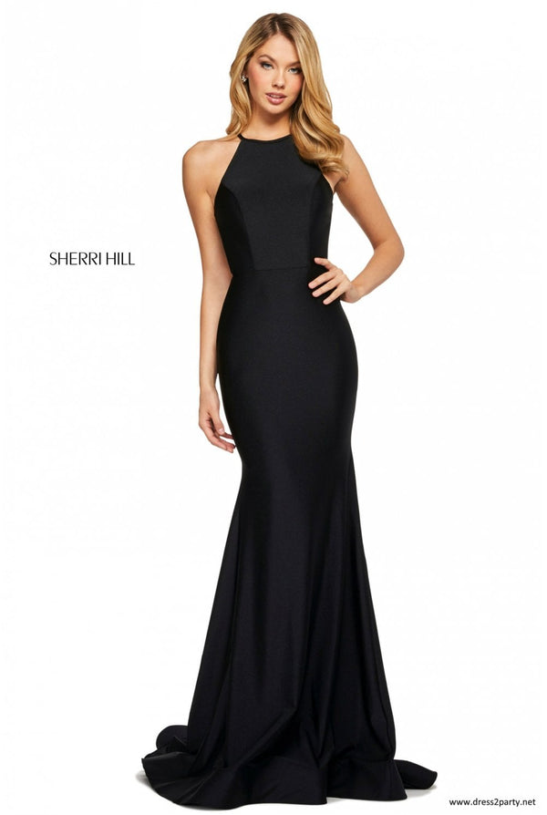 Sherri Hill 53663 - Dress 2 Party